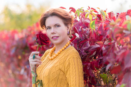 Portrait of 30 year old woman holding rose and standing near bush of red wild vine leaves in autumn park looking at the cameraの写真素材