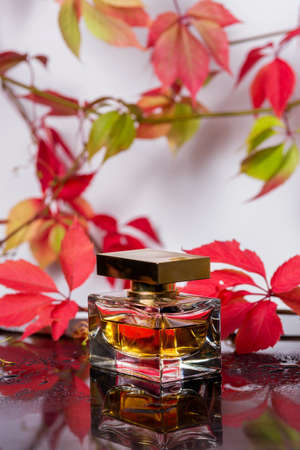 Perfume bottle and vintage fragrance on a black glass surface surrounded by autumn leaves of wild...