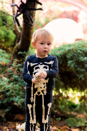 Little boy in a skeleton costume holding a skeleton on a halloween party in the gardenの写真素材