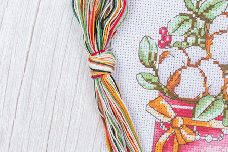 Cross-Stitch Set with printed canvas, needle and floss thread. Embroidery, Hobbies and entertainment.の写真素材