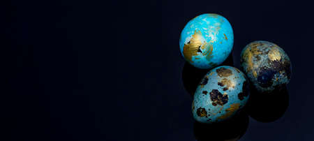 Easter quail eggs painted by hand in blue and gold color on the black surface. Catholic and orthodox...