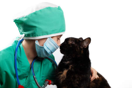 Girl in green medical surgical suit and protective medical mask plays veterinarian with domestic black cat Isolated on white. Look at each otherの写真素材