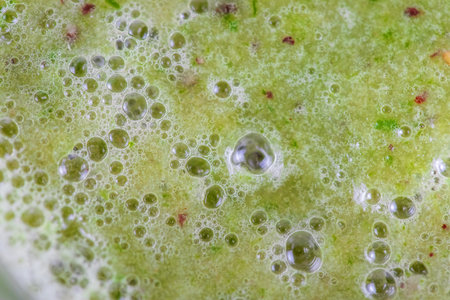 Close-up on the texture of a smoothie in a mug, bubbles of liquid, splashes of ground fruit pieces top view.の写真素材