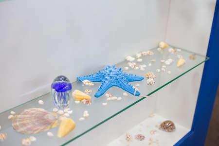 Seashells, starfish and other aquatic life on the stand at the exhibition.のeditorial素材