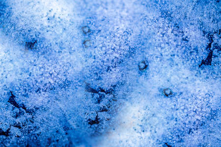 Close-up of blue easter eggs painted with natural dyes with blurの写真素材