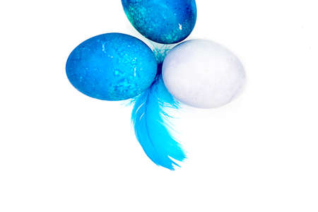 Blue Easter eggs and small fluffy blue feathers randomly scattered on white tableの写真素材
