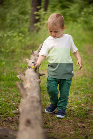 Adorable Caucasian boy of 3 years old playing with a toy car on a log in the forestの写真素材