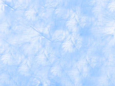 Soft focus pastel flower background featuring abstract, backdrop and background