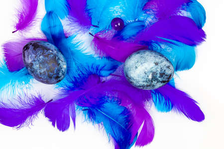Blue Easter eggs and small fluffy blue feathers randomly scattered on white tableの写真素材