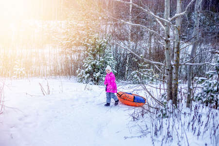 Little girl drags slide-slide cheesecake up snowy hill.