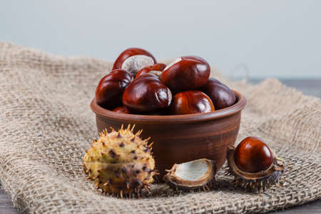 Edible chestnut kernels lie on burlap on a wooden table.の写真素材