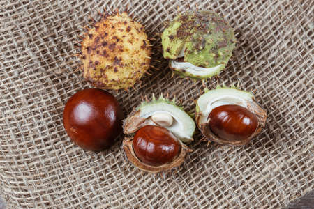 Edible chestnut kernels lie on burlap on a wooden table.