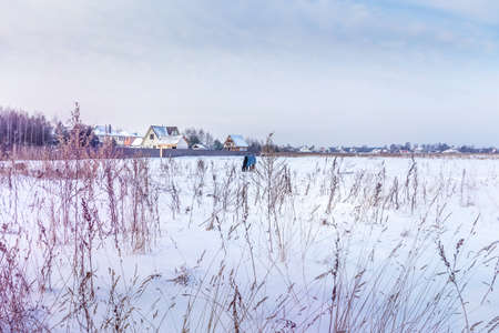 Various blades of grass under a layer of snow in the rays of the setting sun, selective focus, blurred backgroundの写真素材