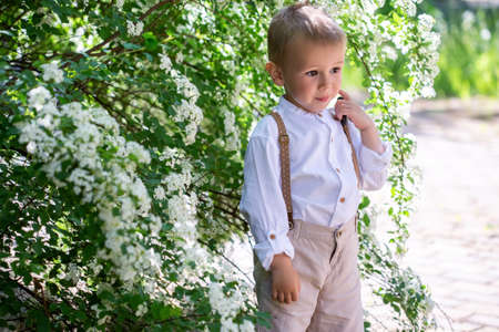 Portrait of adorable caucasian little boy in blooming bush with white flowers of spirea with selective focus and soft focus.の写真素材