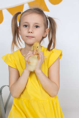 Little caucasian girl preschool age holding a cute duckling in the hands.の写真素材