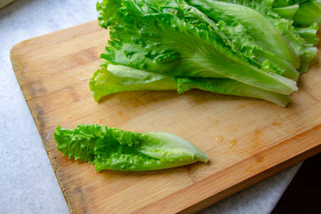 Fresh Salad leavesの写真素材