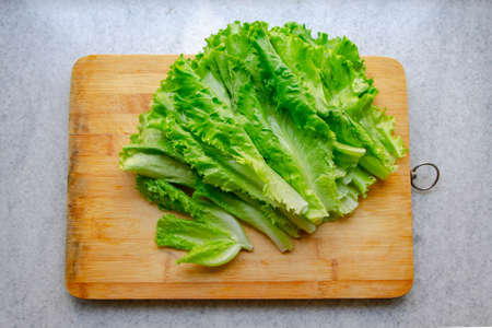 Fresh Salad leavesの写真素材