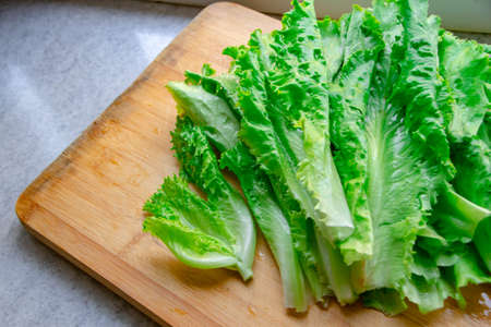 Fresh Salad leavesの写真素材