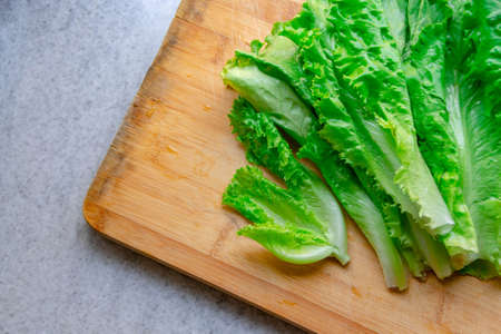 Fresh Salad leavesの写真素材