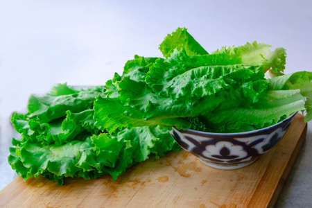 Fresh Salad leavesの写真素材