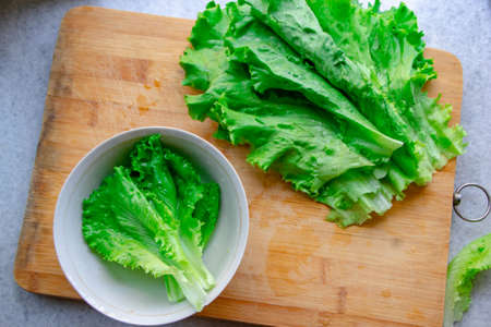 Fresh Salad leavesの写真素材