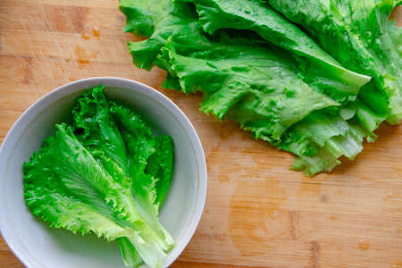 Fresh Salad leavesの写真素材