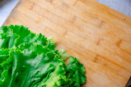 Fresh Salad leavesの写真素材