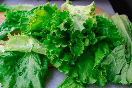 Fresh Salad leavesの写真素材