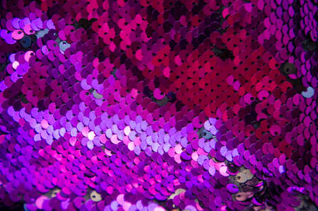 Pink circle sequins pattern texture background and textureの写真素材