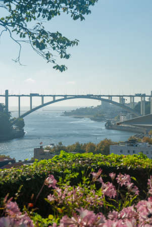 Vertical view of the Arrabida Bridge and river Douro with beautiful pink flowers in the foreground scenic composition landscape - Porto, Portugal, Verticalの写真素材