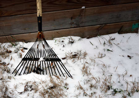 Old rake and snowの写真素材