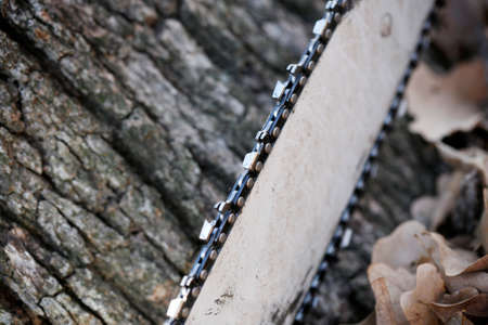 Close up of chainsaw on tree background. Selective Focus.の写真素材