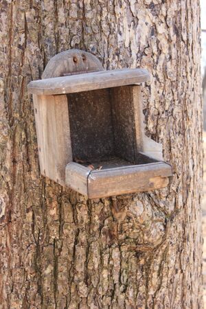 a house feeder for the birds in the city Park