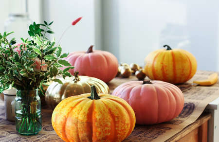 Painted pumpkins in the creative workshopの写真素材