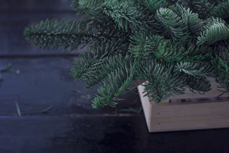 The winter composition of fir branches in wooden boxの写真素材
