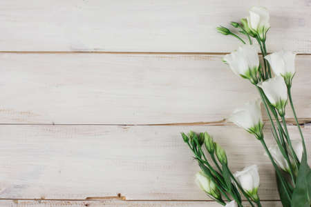 White wooden background with flowers eustomaの写真素材
