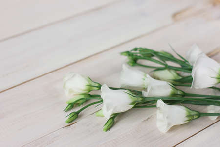 The flowers eustoma on White wooden background の写真素材