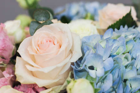 The elegant bouquet of roses and hydrangea backcroundの写真素材