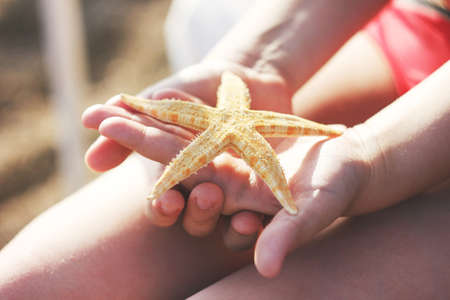 Starfish in child's hands on the beach, close upの写真素材