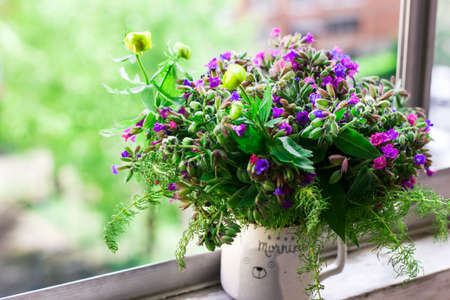 Wild forest meadow bouquet of cherry, lungwort, wild herbs in ceramic cup on window sillの写真素材