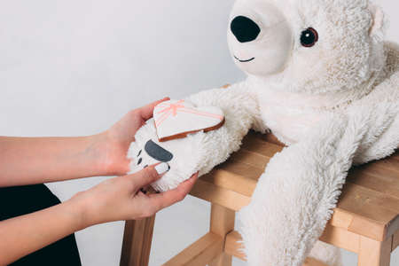 Woman hands and white heart gingerbread on paw of old bear toy on wooden chair isolated on grey backgroundの写真素材