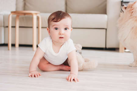 Charming little baby boy 6 months smiling and looking at the camera in homeの写真素材