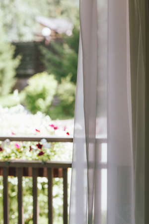 White curtain on the window overlooking the backyardの写真素材