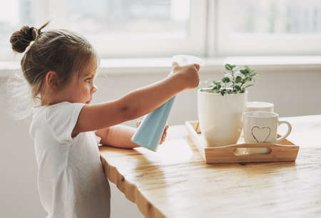 Funny cute toddler girl watering house plant on table in bright interior homeの写真素材