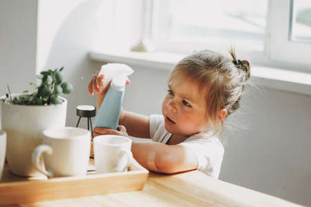 Funny cute toddler girl watering house plant on table in bright interior homeの写真素材