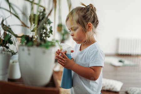 Funny cute toddler girl watering house plant at room in bright interior homeの写真素材