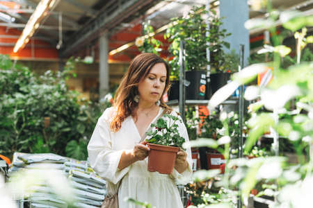 Brunette middle aged woman in white dress buys pink flower potted house plants at garden storeの写真素材