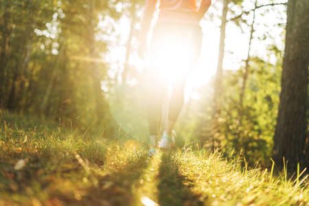 Crop photo of Young slim woman brunette in the sport clothes running at forest on golden hour sunrise time. Health and wellness, fitness lifestyleの写真素材
