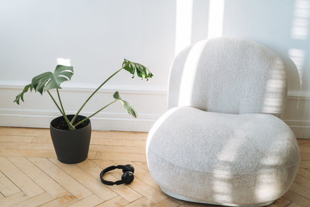Details of room interior with white sofa armchair, monstera flower and headphonesの写真素材