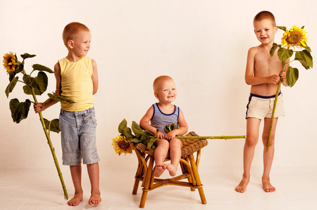 Three cute nice boys in a village studio in the summer with sunflowersの写真素材
